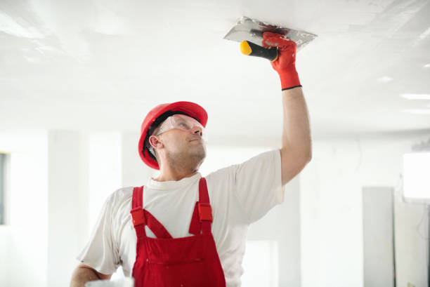 Best Drywall Texturing  in Colby, WI