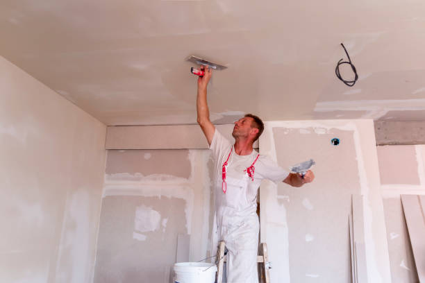 Best Drywall Removal and Disposal  in Colby, WI